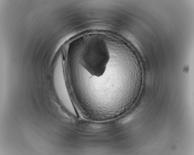 X0000090490829200707272338