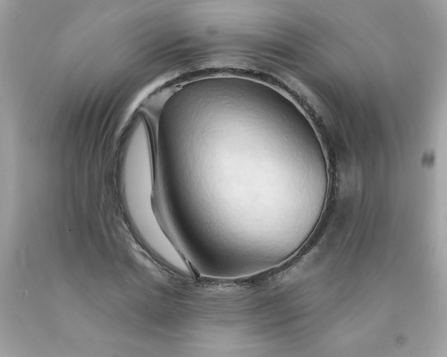 X0000090490830200707272338