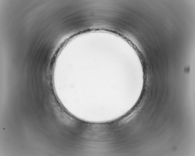 X0000090490832200707272338