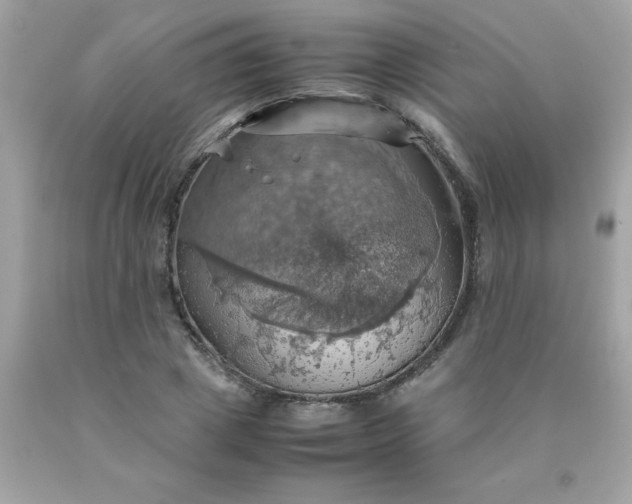 X0000090490833200707272338