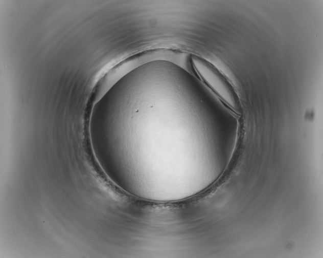 X0000090490834200707272338