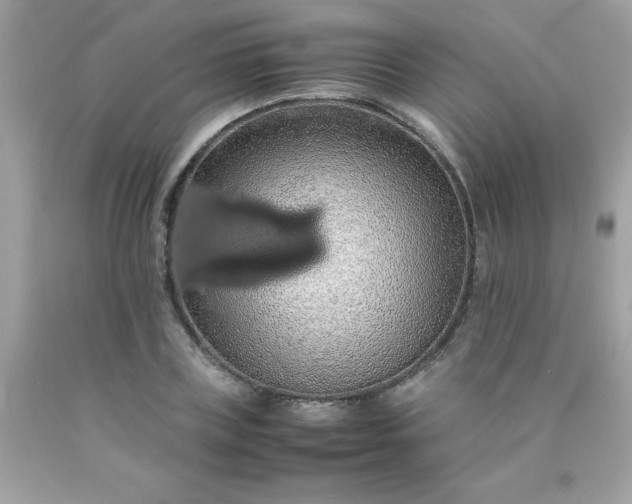 X0000090490835200707272338