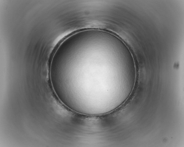 X0000090490838200707272338