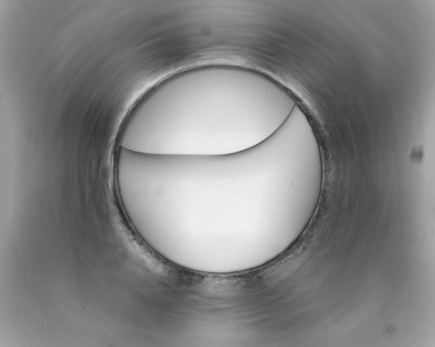 X0000090490840200707272338