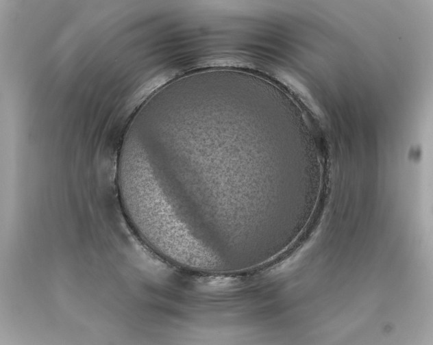 X0000090490841200707272338