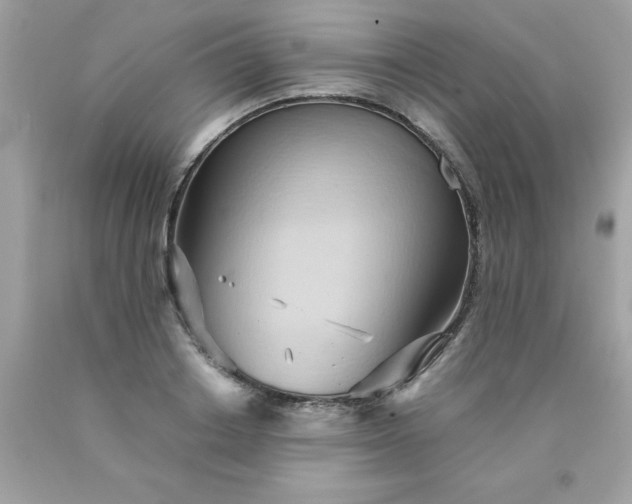 X0000090490842200707272338