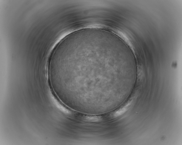 X0000090490843200707272338