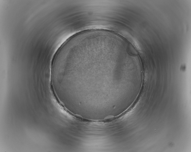 X0000090490844200707272338