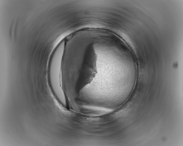 X0000090490845200707272338