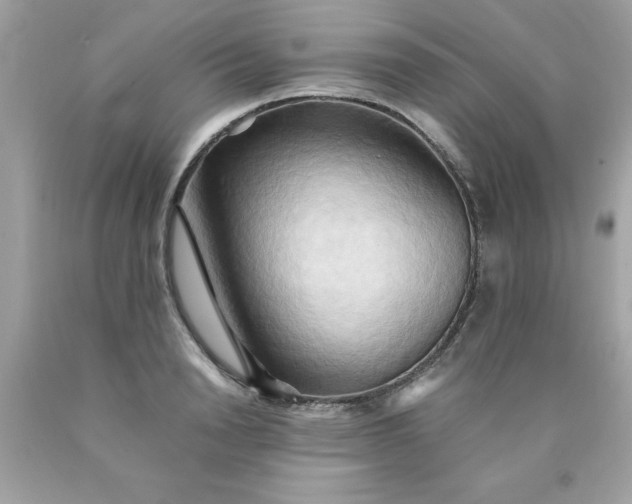 X0000090490846200707272338