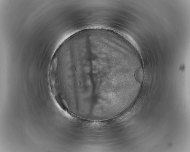 X0000090490847200707272338