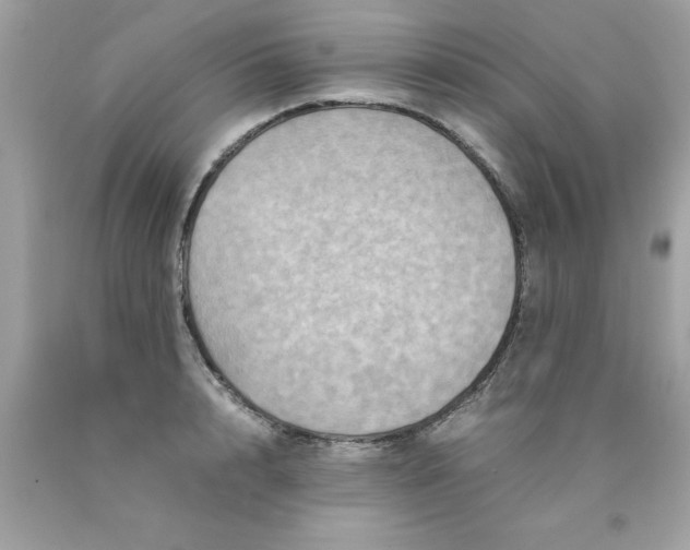 X0000090490848200707272338