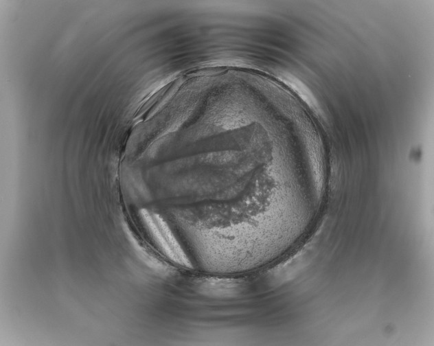 X0000090490849200707272338