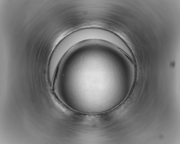 X0000090490850200707272338