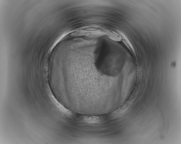 X0000090490851200707272338