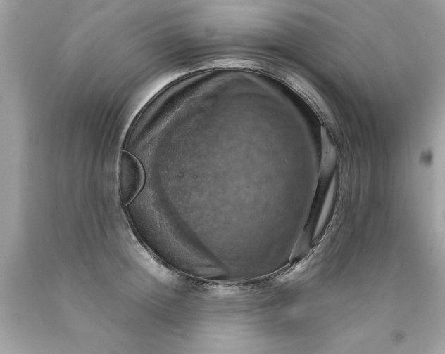 X0000090490852200707272338