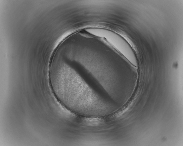 X0000090490853200707272338