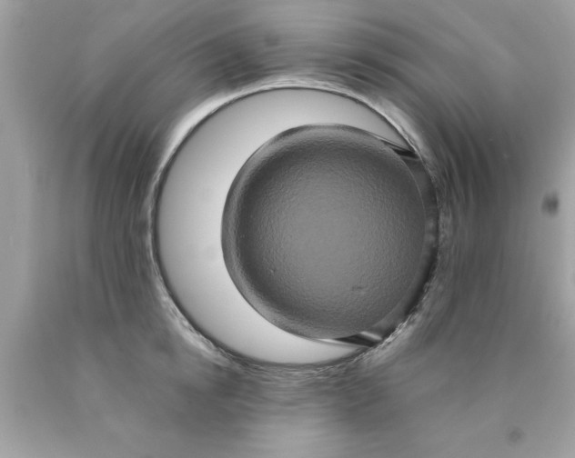 X0000090490854200707272339