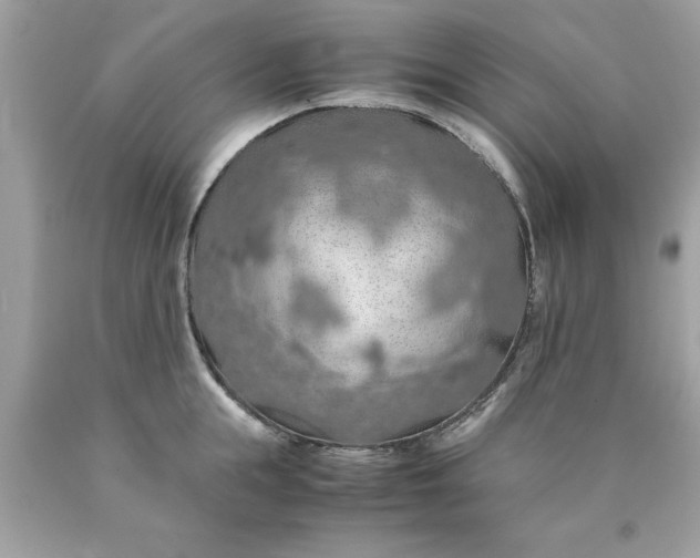 X0000090490855200707272339