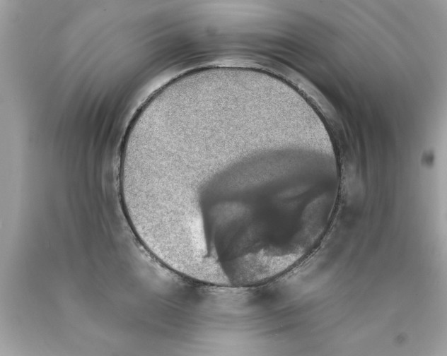 X0000090490856200707272339