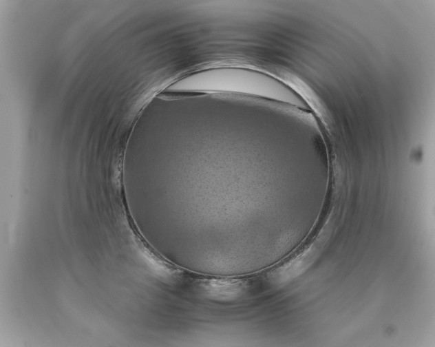 X0000090490857200707272339