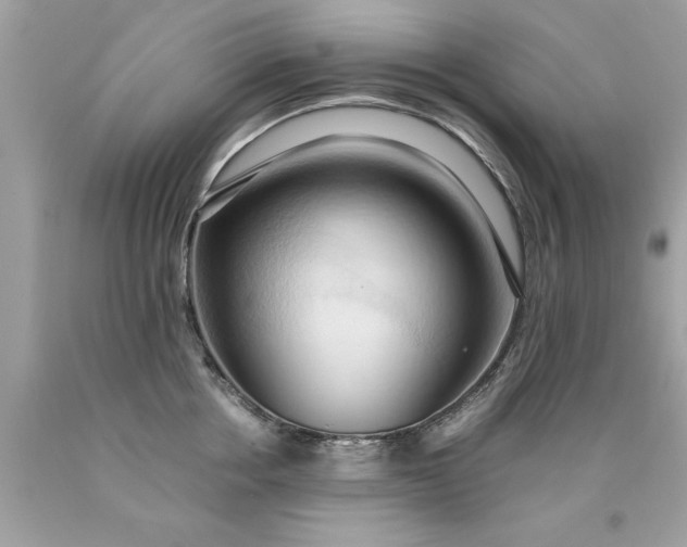 X0000090490858200707272339