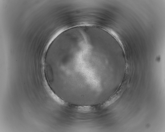X0000090490859200707272339