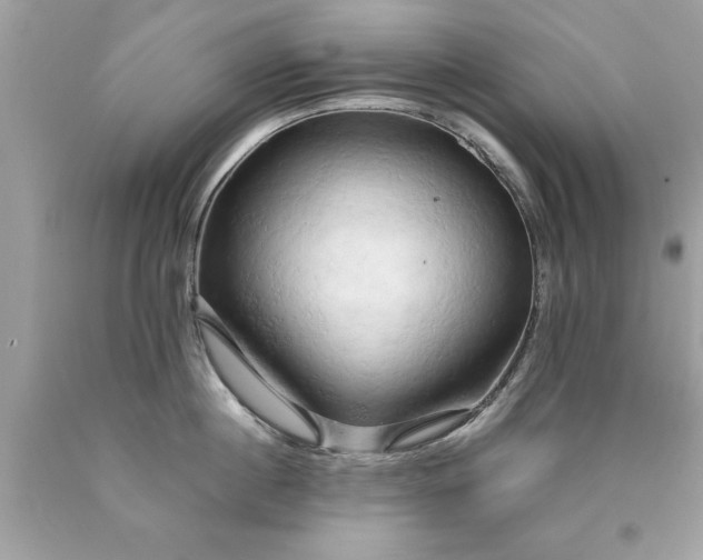 X0000090490860200707272339