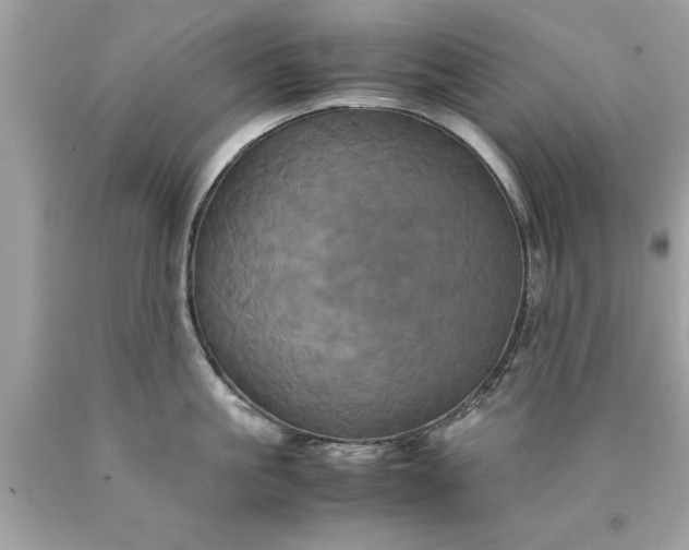 X0000090490861200707272339