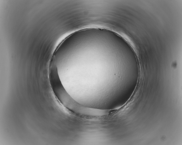 X0000090490862200707272339
