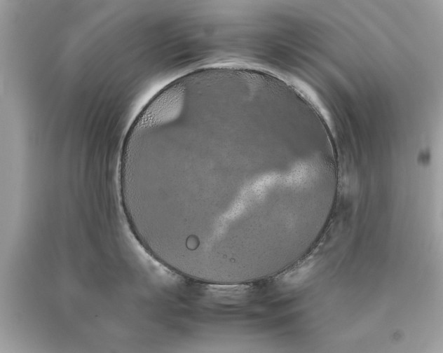 X0000090490863200707272339