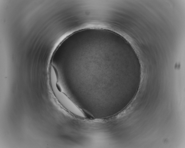 X0000090490864200707272339
