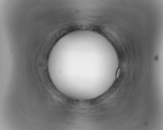 X0000090490865200707272338