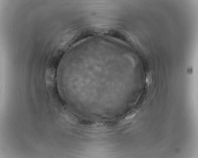 X0000090490867200707272338