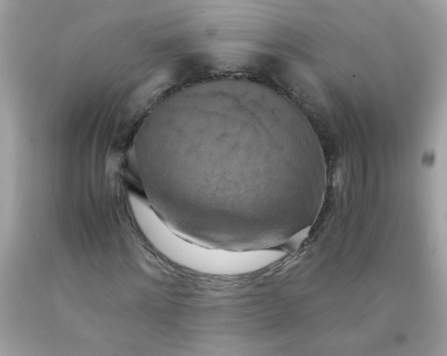 X0000090490868200707272338