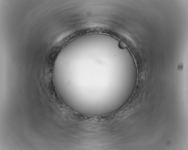 X0000090490869200707272338
