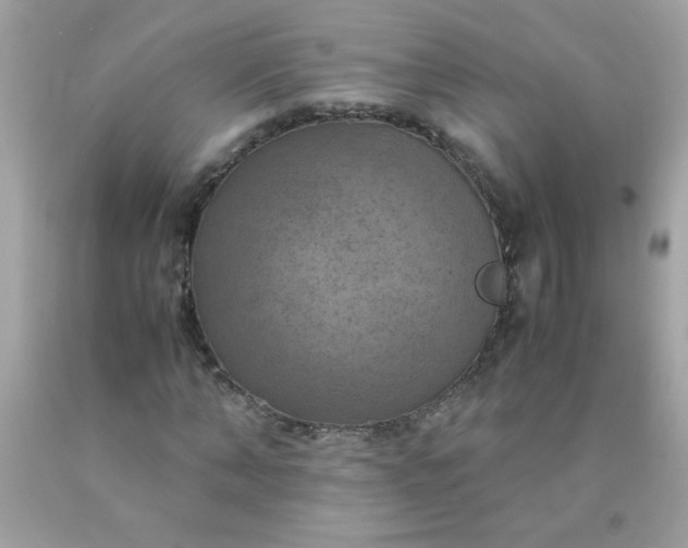 X0000090490870200707272338