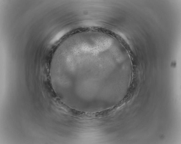 X0000090490871200707272338