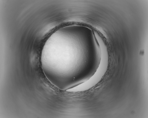 X0000090490872200707272338