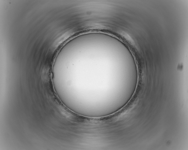 X0000090490873200707272338