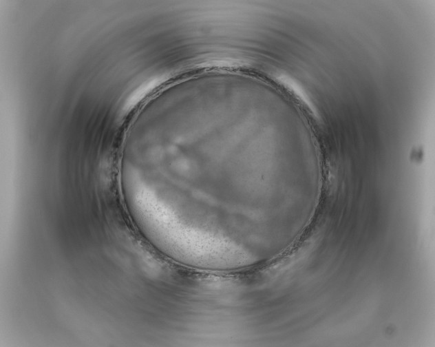X0000090490874200707272338