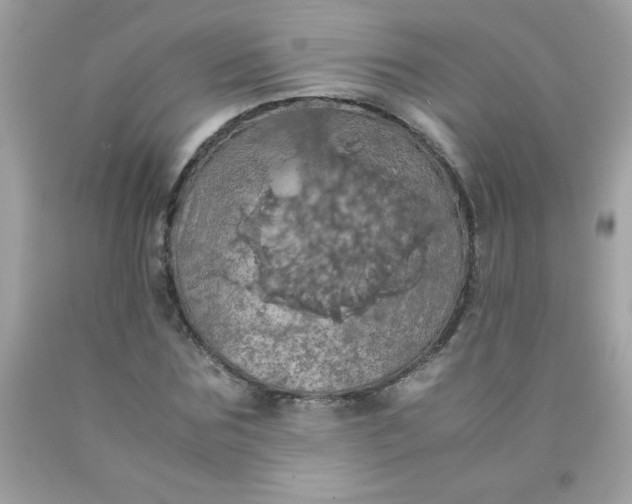 X0000090490875200707272338