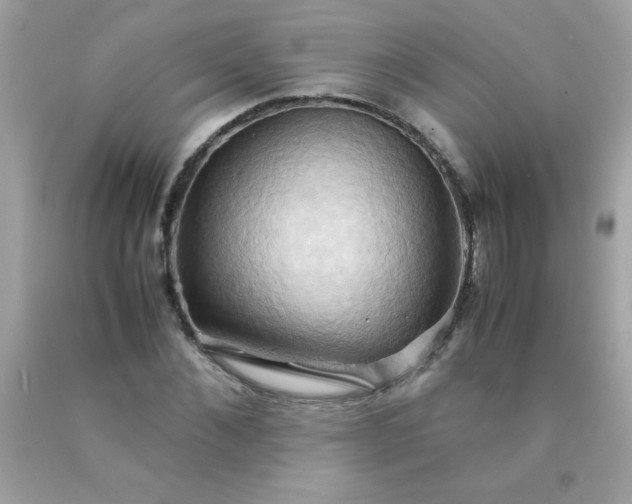 X0000090490876200707272338