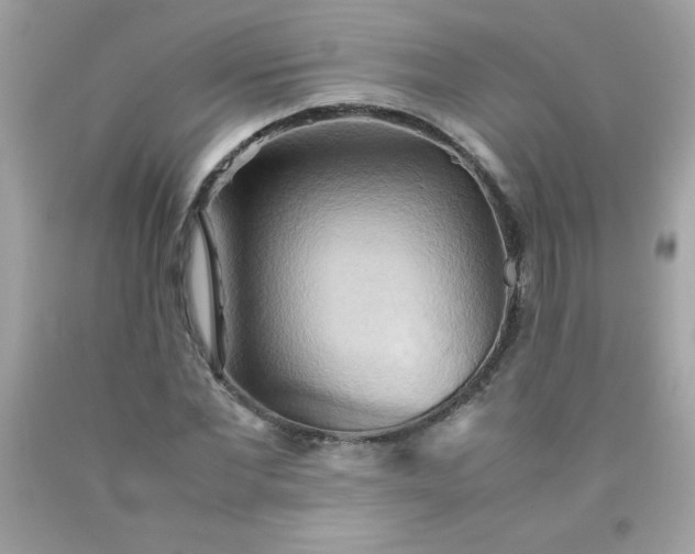 X0000090490877200707272338
