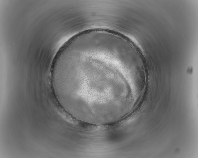 X0000090490879200707272338