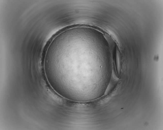 X0000090490880200707272338