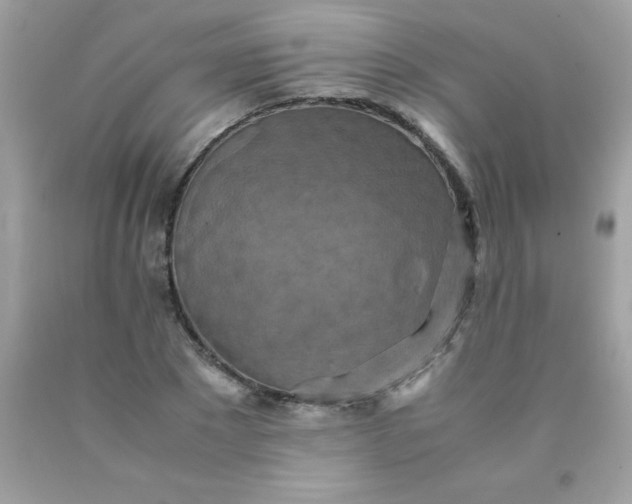 X0000090490881200707272338
