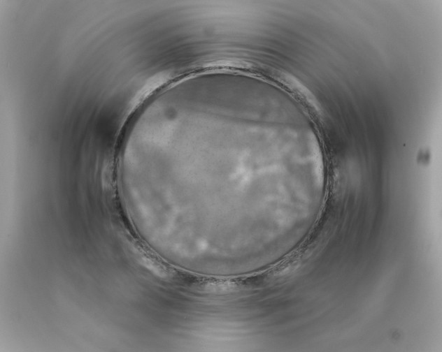 X0000090490882200707272338