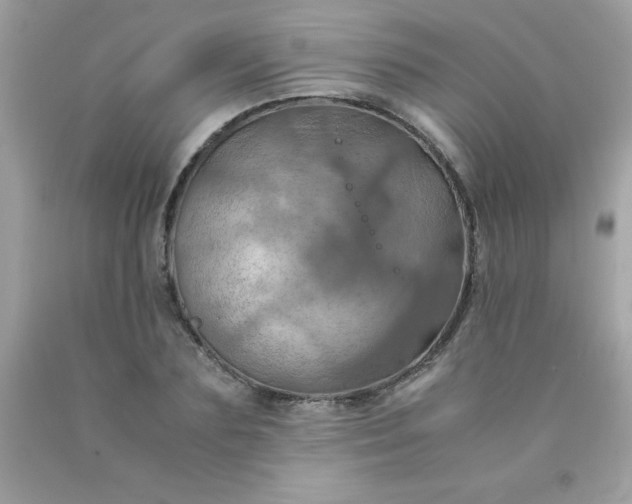 X0000090490883200707272338
