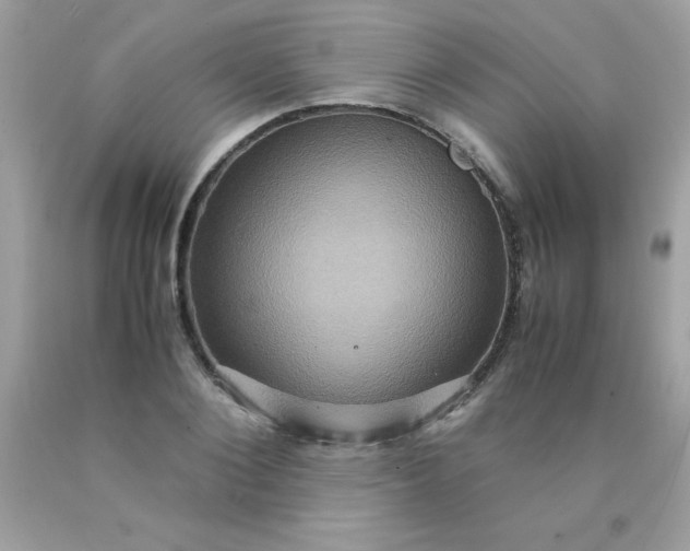 X0000090490884200707272338